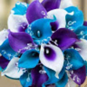 Meet your Posher, Lalah anne